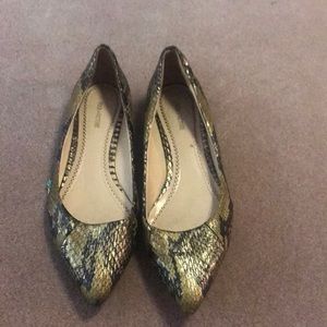 Gold and black snakeskin flat